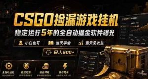 CSGO捡漏游戏挂G,稳定运行5年的全自动掘金软件曝光,小白也可当天学会,当天见收益,日入500+【揭秘】-小鸿资源库