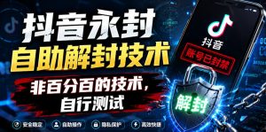 抖音永封自助解封技术，非百分百的技术，自行测试-小鸿资源库