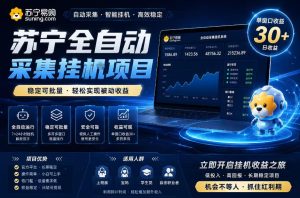 苏宁全自动采集挂G项目,稳定可批量,单窗口收益30+,可矩阵放大收益【揭秘】-小鸿资源库
