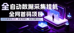 全自动数据采集挂G，全网首码项目，简单易操作，小白也能轻松上手，多账号操作，轻松日入500+【揭秘】-小鸿资源库