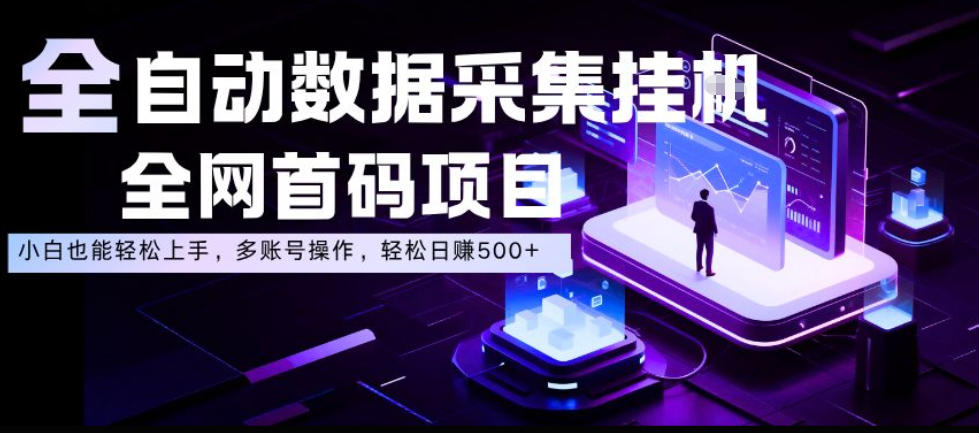 全自动数据采集挂G，全网首码项目，简单易操作，小白也能轻松上手，多账号操作，轻松日入500+【揭秘】-小鸿资源库
