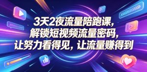 3天2夜流量陪跑课，解锁短视频流量密码，让努力看得见，让流量賺得到-小鸿资源库