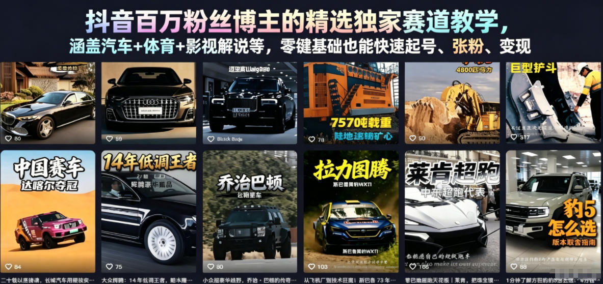 抖音百万粉丝博主的精选独家赛道教学，涵盖汽车+体育+影视解说等，零基础也能快速起号、涨粉、变现-小鸿资源库