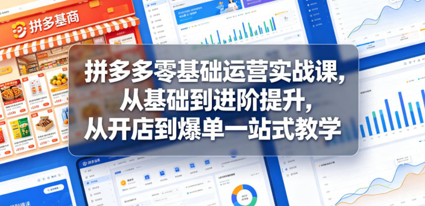 拼多多零基础运营实战课，从基础到进阶提升，从开店到爆单一站式教学-小鸿资源库
