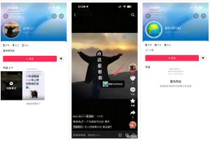最强抖音引流-隐藏式暂停跳钩子，效果自测-小鸿资源库